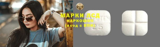 герыч Магас