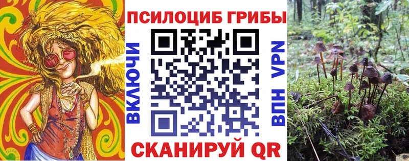 Галлюциногенные грибы мухоморы  OMG зеркало  Шенкурск 